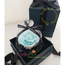Eternity Tiffany Blue Rose